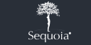 Sequoia